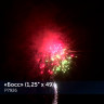 Фейерверк салют «Босс» 49 залпов, 1.25" калибр
