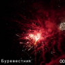Фейерверк салют «Буревестник» 49 залпов, 1.5" калибр